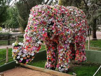 17596312_388441078197644_4102998690413674496_n